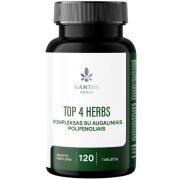 Antioksidantai TOP 4 HERBS GAMTOS NAMAI,120 tablečių