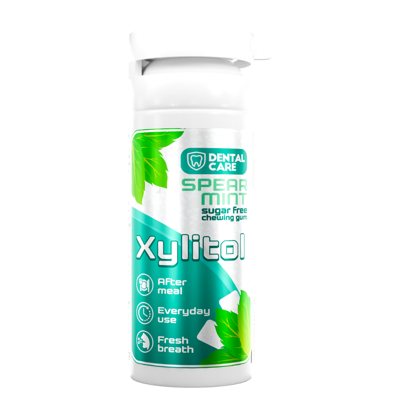 DENTAL CARE, mėtos skonio kramtomoji guma su ksilitoliu, 20 vnt