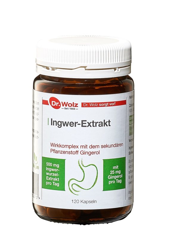 Dr.Wolz Ingwer-Extrakt N120