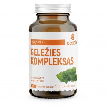 ECOSH bioaktyvus Geležies bisglicinatas 27 mg kapsulės N90