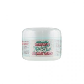 ELIZAVECCA veido kremas su hialurono rūgštimi, Moisture Hyaluronic Acid, 100 ml