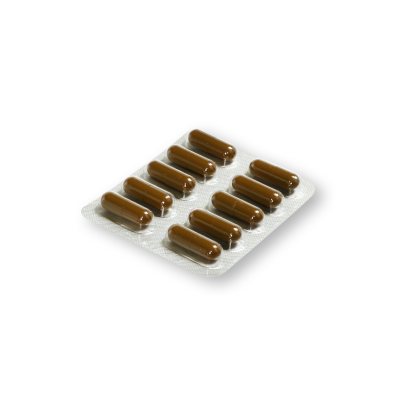 ESSENTIALE Forte N 300 mg kietosios kapsulės N100