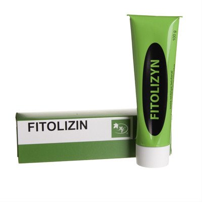 FITOLIZIN, valgomoji pasta, 100 g