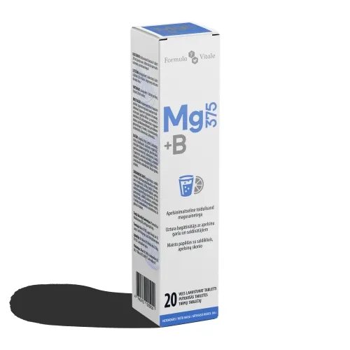 FORMULA VITALE Magnis 375 mg + B grupė, N20