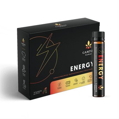 GAMTOS NAMAI ENERGY, skystasis maisto papildas,14 buteliukų po, 25 ml