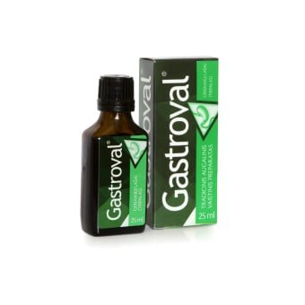 GASTROVAL, geriamieji lašai, tirpalas, N1, 25 ml