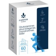 Gliukozaminas PLIUS Kolagenas, Chondroitinas, MSM GAMTOS NAMAI, 60 tablečių