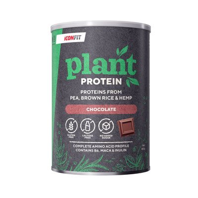 ICONFIT, Augaliniai baltymai - Šokolado, 480 g