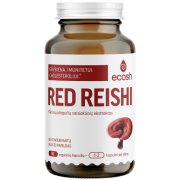 Imunitetui ir cholesteroliui ECOSH RED REISHI, 90 kaps