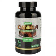 Juodojo beržo grybo ekstraktas CHAGA, 90 kaps.