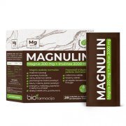 Magnis ir inulinas MAGNULIN, 28 pak.