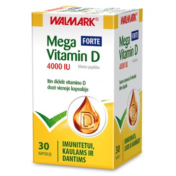 MEGA VITAMIN D 4000 UI kapsulės N30