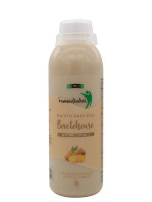 MĖMELIO FERMENTUOTAS Bactohouse imbiero skonio, 1 l