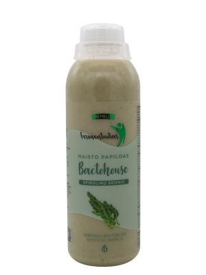 MĖMELIO FERMENTUOTAS Bactohouse spirulinos skonio, 1 l