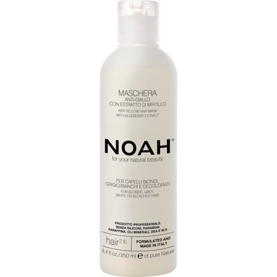 NOAH 2.6 ANTI-YELLOW HAIR MASK, geltonus atspalvius neutralizuojanti kaukė, 250 ml