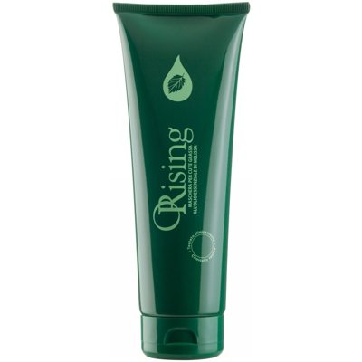 Orising Kaukė Greasy Scalp Hair Mask ORIS05700, riebiai galvos odai, 250 ml
