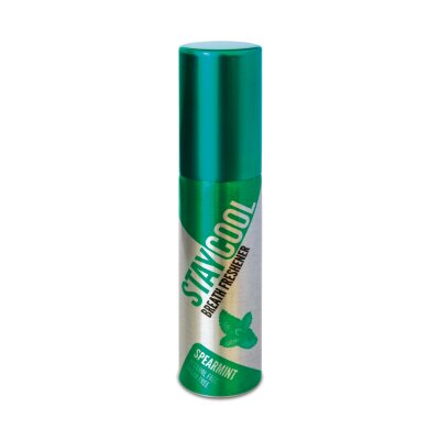 STAY COOL - švelnaus mėtų skonio burnos gaiviklis, 20 ml