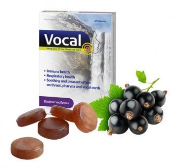 VOCAL juodųjų serbentų skonio pastilės N24